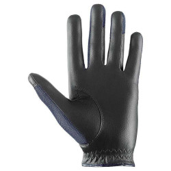 Uvex Sumair Handschoenen Zwart/blauw