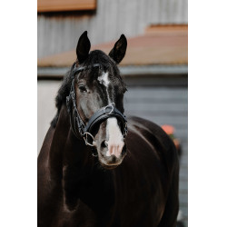 Brede cavesson Norton Zwart Brede cavesson Norton Zwart