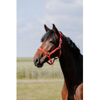 Halster Riding World Cushion Bordeaux