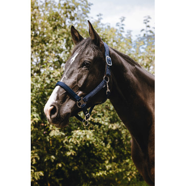 Nylon halster Equithème Protector Groen