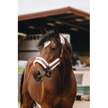 Nylon halster Equithème Fashion Bruin