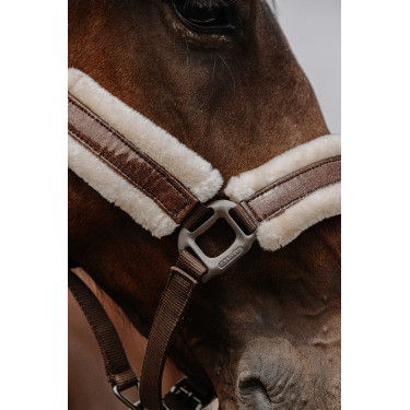 Nylon halster Equithème Fashion Bruin