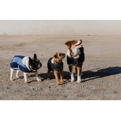 Hondenkleed Equithème New Market Marine Marineblauw