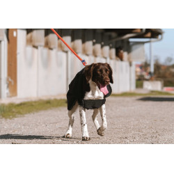 Hondenhoes Equithème Softshell Zwart