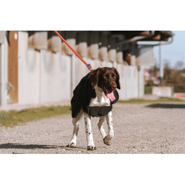 Hondenhoes Equithème Softshell Zwart