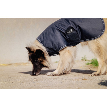 Hondenhoes Equithème TYREX 600D Blauw / grijs Hondenhoes Equithème TYREX 600D Blauw / grijs