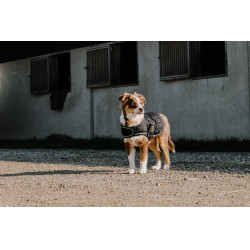 Hondenhoes Ik hou van je Equithème Zwart Hondenhoes Ik hou van je Equithème Zwart