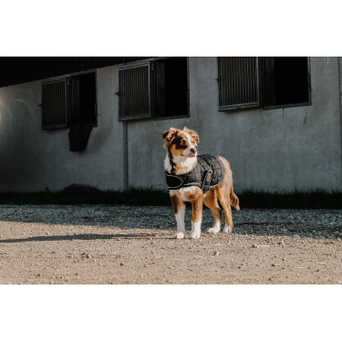 Hondenhoes Ik hou van je Equithème Zwart Hondenhoes Ik hou van je Equithème Zwart