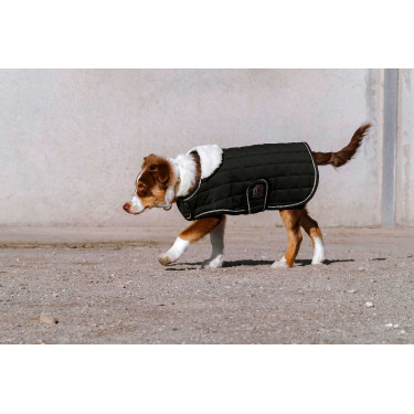 Hondenhoes Ik hou van je Equithème Zwart Hondenhoes Ik hou van je Equithème Zwart