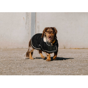 Hondenhoes Ik hou van je Equithème Zwart Hondenhoes Ik hou van je Equithème Zwart