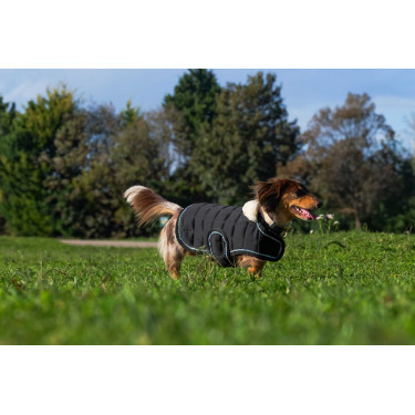 Hondenhoes Ik hou van je Equithème Zwart Hondenhoes Ik hou van je Equithème Zwart