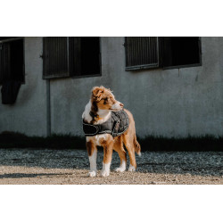 Hondenhoes Ik hou van je Equithème Zwart Hondenhoes Ik hou van je Equithème Zwart