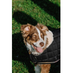 Hondenhoes Ik hou van je Equithème Zwart Hondenhoes Ik hou van je Equithème Zwart