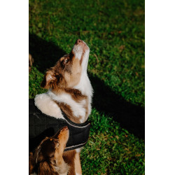 Hondenhoes Ik hou van je Equithème Zwart Hondenhoes Ik hou van je Equithème Zwart