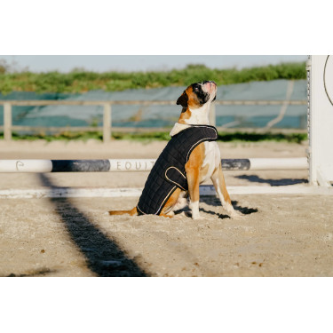 Hondenhoes Ik hou van je Equithème Zwart Hondenhoes Ik hou van je Equithème Zwart