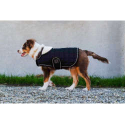 Hondenhoes Ik hou van je Equithème Zwart Hondenhoes Ik hou van je Equithème Zwart