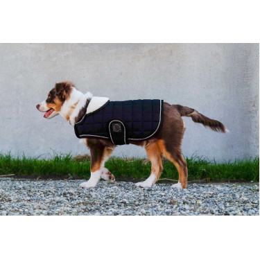 Hondenhoes Ik hou van je Equithème Zwart Hondenhoes Ik hou van je Equithème Zwart