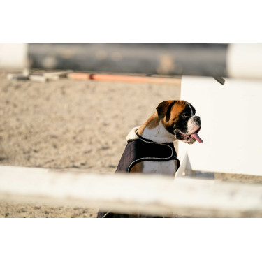 Hondenhoes Ik hou van je Equithème Zwart Hondenhoes Ik hou van je Equithème Zwart