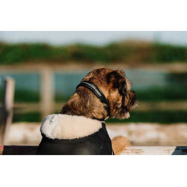 Hondenhoes Ik hou van je Equithème Zwart Hondenhoes Ik hou van je Equithème Zwart