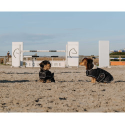 Hondenhoes Ik hou van je Equithème Zwart Hondenhoes Ik hou van je Equithème Zwart