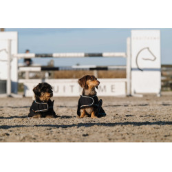 Hondenhoes Ik hou van je Equithème Zwart Hondenhoes Ik hou van je Equithème Zwart