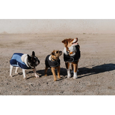 Hondenhoes Ik hou van je Equithème Zwart Hondenhoes Ik hou van je Equithème Zwart