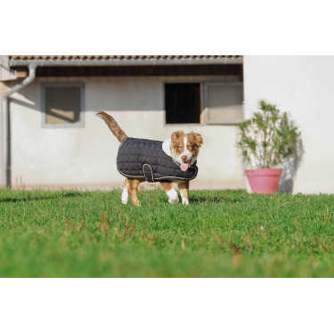 Hondenhoes Ik hou van je Equithème Zwart Hondenhoes Ik hou van je Equithème Zwart