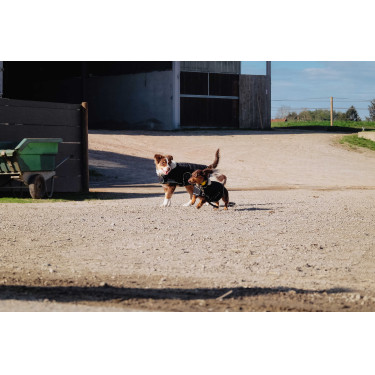 Hondenhoes Ik hou van je Equithème Zwart Hondenhoes Ik hou van je Equithème Zwart