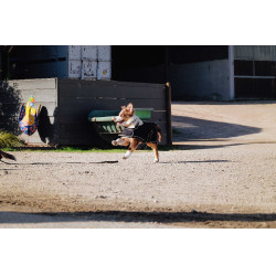 Hondenhoes Ik hou van je Equithème Zwart Hondenhoes Ik hou van je Equithème Zwart