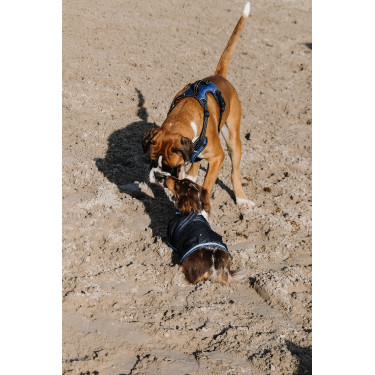 Hondendeken Equithème Eco 600D Marine Marineblauw