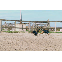 Fleecehemd voor hond Equithème Marine Marineblauw