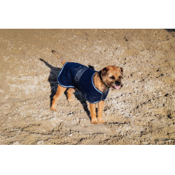 Fleecehemd voor hond Equithème Marine Marineblauw