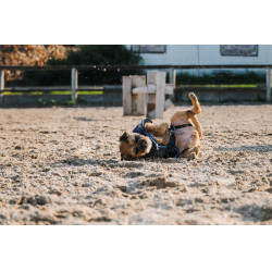 Fleecehemd voor hond Equithème Marine Marineblauw