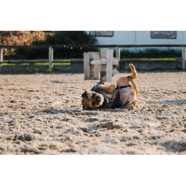 Fleecehemd voor hond Equithème Marine Marineblauw
