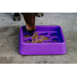 Antischrokvoerbak Hippotonic