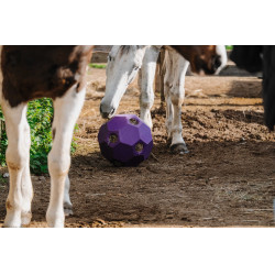 Anti-schrokbal voor hooi HIPPOTONIC Violet