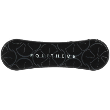 Hoofdborstel Equithème Studies Zwart