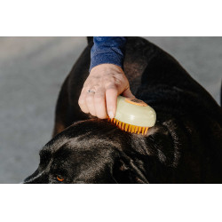 Hippotonic Stoomstrijker Crème Beige Hippotonic Stoomstrijker Crème Beige