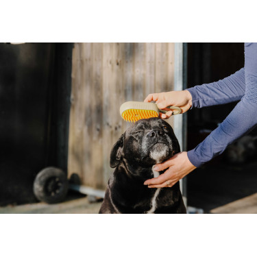 Roskam met handvat Hippotonic Vapeur Taupe Bruin