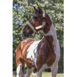 Norton halster Full synthetische schapenvacht