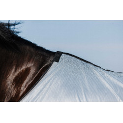 Rijhemd Riding World Belly Mesh Grijs