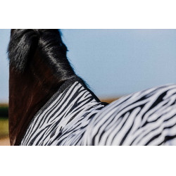 Rijhemd Riding World Belly Mesh Zwart / wit zebrapatroon Motieven Rijhemd Riding World Belly Mesh Zwart / wit zebrapatroon Motieven