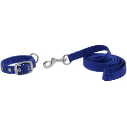 Halsband en lijn voor hond RIDING WORLD - Oscar Koningsblauw