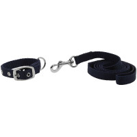 Halsband en lijn voor hond RIDING WORLD - Oscar Koningsblauw