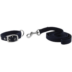 Halsband en lijn voor hond RIDING WORLD - Oscar Marine Marineblauw