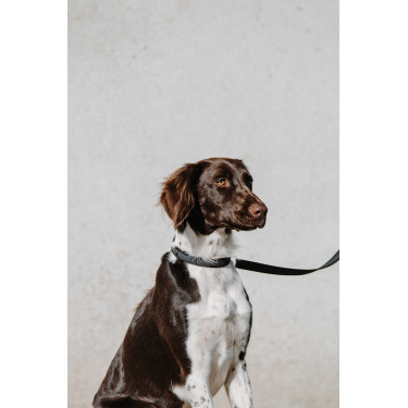 Halsband voor hond EQUITHÈME - Nala Zwart