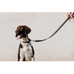 Halsband voor hond EQUITHÈME - Nala Zwart