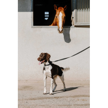 Halsband voor hond EQUITHÈME - Nala Zwart