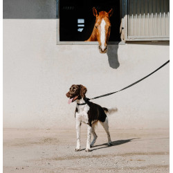 Halsband voor hond EQUITHÈME - Nala Zwart