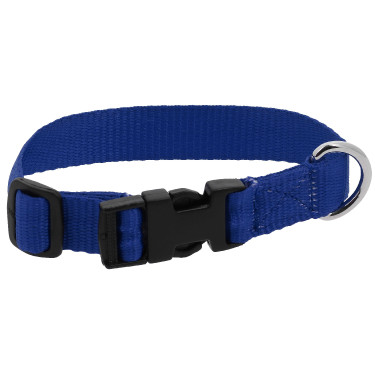 Hondenhalsband RIDING WORLD - Pat Koningsblauw